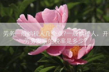劳务一般纳税人几个点?一般纳税人，开劳务发票的税率是多少?