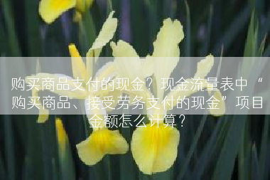 购买商品支付的现金？现金流量表中“购买商品、接受劳务支付的现金”项目金额怎么计算？