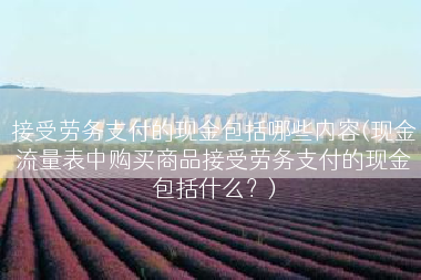 接受劳务支付的现金包括哪些内容(现金流量表中购买商品接受劳务支付的现金包括什么？)