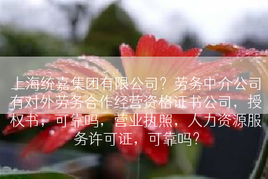 上海统嘉集团有限公司？劳务中介公司有对外劳务合作经营资格证书公司，授权书，可靠吗，营业执照，人力资源服务许可证，可靠吗？