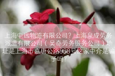 上海中远物流有限公司？上海泉成劳务派遣有限公司（吴奇劳务服务公司）地址是上海市嘉唐公路888号这家中介是骗子吗？