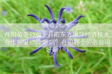 丹阳劳务公司（丹阳东方国际经济技术合作有限公司 好吗？丹阳哪个劳务公司好啊？）