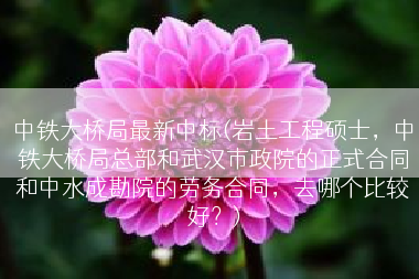 中铁大桥局最新中标(岩土工程硕士，中铁大桥局总部和武汉市政院的正式合同和中水成勘院的劳务合同，去哪个比较好？)