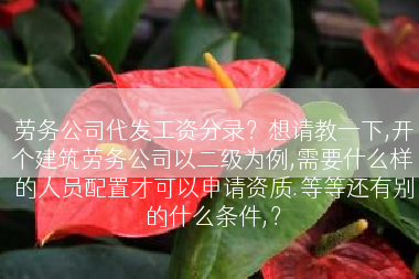 劳务公司代发工资分录？想请教一下,开个建筑劳务公司以二级为例,需要什么样的人员配置才可以申请资质.等等还有别的什么条件,？