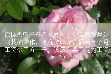 徐世杰电子签名（通过中介劳务派遣公司找的工作，现在离职了，最后一个月工资少了近一千，该怎么要回我的工资啊，）