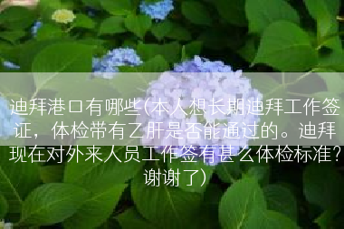迪拜港口有哪些(本人想长期迪拜工作签证，体检带有乙肝是否能通过的。迪拜现在对外来人员工作签有甚么体检标准？谢谢了)