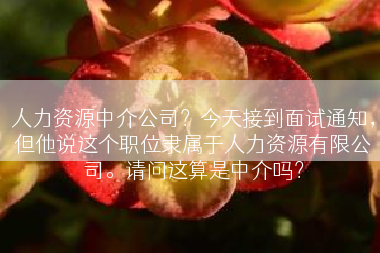 人力资源中介公司？今天接到面试通知，但他说这个职位隶属于人力资源有限公司。请问这算是中介吗？
