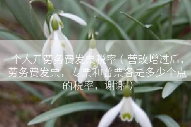 个人开劳务费发票税率（营改增过后，劳务费发票，专票和普票各是多少个点的税率，谢谢）