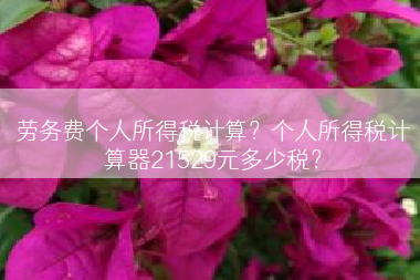 劳务费个人所得税计算？个人所得税计算器21529元多少税？