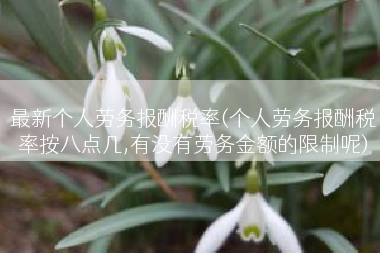 最新个人劳务报酬税率(个人劳务报酬税率按八点几,有没有劳务金额的限制呢)