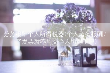 劳务报酬个人所得税器(个人劳务报酬开了发票就不用交个人所得税吗)