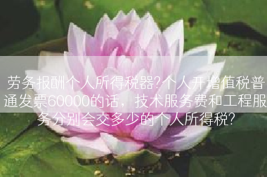劳务报酬个人所得税器?个人开增值税普通发票60000的话，技术服务费和工程服务分别会交多少的个人所得税?