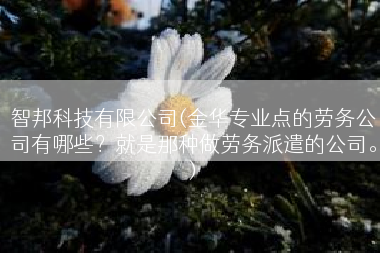 智邦科技有限公司(金华专业点的劳务公司有哪些？就是那种做劳务派遣的公司。)