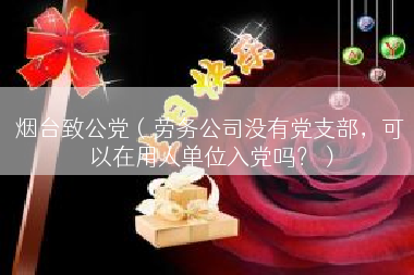 烟台致公党（劳务公司没有党支部，可以在用人单位入党吗？）