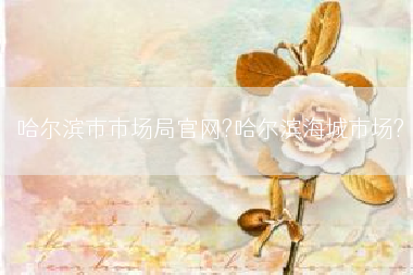 哈尔滨市市场局官网?哈尔滨海城市场?