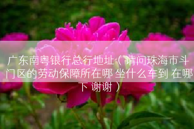 广东南粤银行总行地址（请问珠海市斗门区的劳动保障所在哪 坐什么车到 在哪下 谢谢）