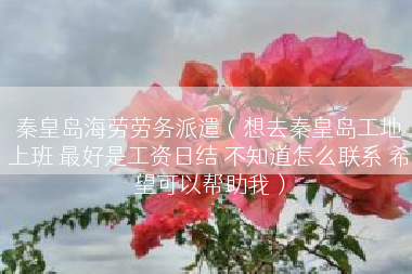 秦皇岛海劳劳务派遣（想去秦皇岛工地上班 最好是工资日结 不知道怎么联系 希望可以帮助我）