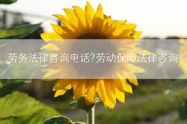 劳务法律咨询电话?劳动保障法律咨询?
