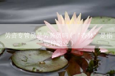 劳资专管员是劳务员吗（“杏林”是指哪种职业）