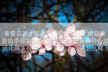 秦皇岛英才劳务服务有限公司（请问秦皇岛中石油昆仑燃气公司市场化用与合同话化用工有什么样的差别，待遇怎么样）