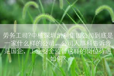 劳务工司?中核深圳凯利集团公司到底是一家什么样的公司，公司人事科告诉我是国企，工业安全监督这样的岗位待遇如何?