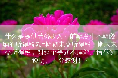 什么是提供劳务收入？前期发生本期缴纳的所得税额=期初未交所得税—期末未交所得税。对这个等式不理解，请举例说明，十分感谢！？