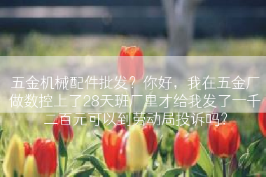 五金机械配件批发？你好，我在五金厂做数控上了28天班厂里才给我发了一千二百元可以到劳动局投诉吗？