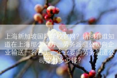 上海新加坡国际学校官网？请问有谁知道在上海那个地方，劳务派遣公司向企业输送一名普工，企业要向劳务派遣公司支付多少钱？
