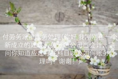 付劳务派遣账务处理(你好 我刚刚在一个新成立的建筑劳务分包公司当会计，请问你知道应建哪些科目以及如何账务处理吗？谢谢！)