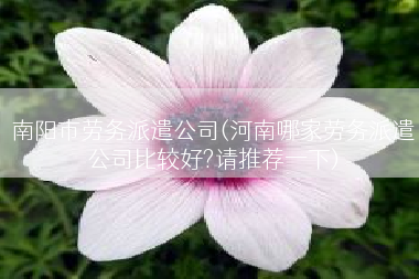 南阳市劳务派遣公司(河南哪家劳务派遣公司比较好?请推荐一下)