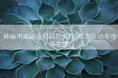 蚌埠市市场监督局官网(蚌埠市电动车市场在哪)