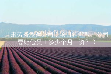 甘肃劳务派遣公司（项目组解散，公司要赔偿员工多少个月工资？）