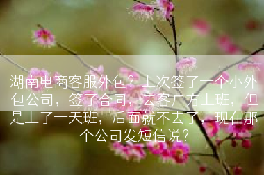 湖南电商客服外包？上次签了一个小外包公司，签了合同，去客户方上班，但是上了一天班，后面就不去了，现在那个公司发短信说？