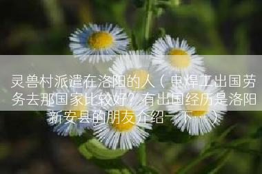 灵兽村派遣在洛阳的人（电焊工出国劳务去那国家比较好？有出国经历是洛阳新安县的朋友介绍一下…）