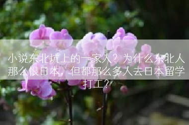 小说东北坑上的一家人？为什么东北人那么恨日本，但都那么多人去日本留学打工？