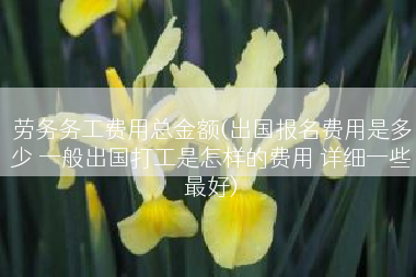 劳务务工费用总金额(出国报名费用是多少 一般出国打工是怎样的费用 详细一些最好)