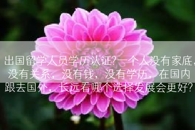 出国留学人员学历认证?一个人没有家底，没有关系，没有钱，没有学历，在国内跟去国外，长远看哪个选择发展会更好?