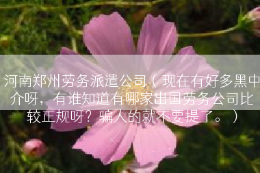 河南郑州劳务派遣公司（现在有好多黑中介呀，有谁知道有哪家出国劳务公司比较正规呀？骗人的就不要提了。）