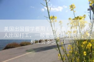 英国出国留学费用（河北曲周县有好多人出国打工，一般要出多少介绍费，大概工资多少。）