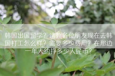 韩国出国留学？请教各位朋友现在去韩国打工怎么样？需要多少费用？在那边一年大约挣多少人民币？