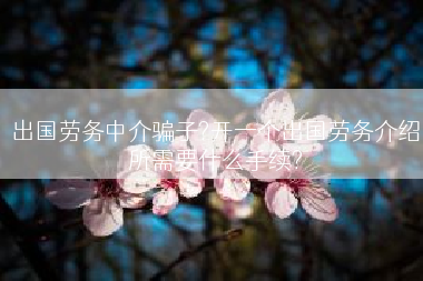 出国劳务中介骗子?开一个出国劳务介绍所需要什么手续?