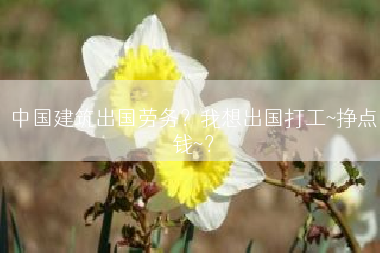 中国建筑出国劳务？我想出国打工~挣点钱~？