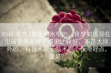妇科 女性?我是做水电的，我想知道现在出国劳务去哪个国家比较好，不是太排外的，有技术跟无技术哪个保障好点，就是?