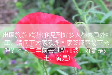 出国旅游 欧洲(我见到好多人都去国外打工，请问下大家欧洲国家签证容易下来吗？本人三年前去过新加坡，好走是好走，就是)