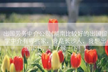 出国劳务中介公司(湖南比较好的出国留学中介有哪些家，我是长沙人，我想出国读书，想了解一下！)