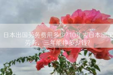 日本出国劳务费用多少?10年去日本出国劳务，三年能挣多少钱?