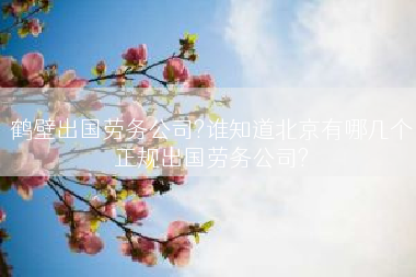 鹤壁出国劳务公司?谁知道北京有哪几个正规出国劳务公司?
