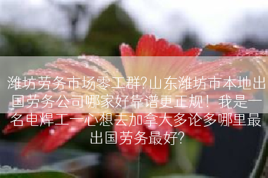 潍坊劳务市场零工群?山东潍坊市本地出国劳务公司哪家好靠谱更正规！我是一名电焊工一心想去加拿大多论多哪里最出国劳务最好?