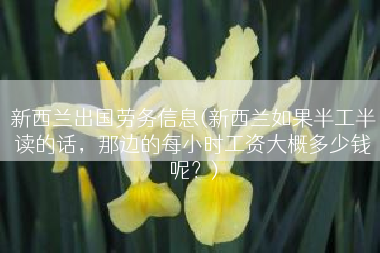 新西兰出国劳务信息(新西兰如果半工半读的话，那边的每小时工资大概多少钱呢？)