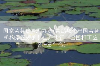 国家劳务费管理办法(青岛那个出国劳务机构是正规的！山东也行！出国打工应该注意什么)